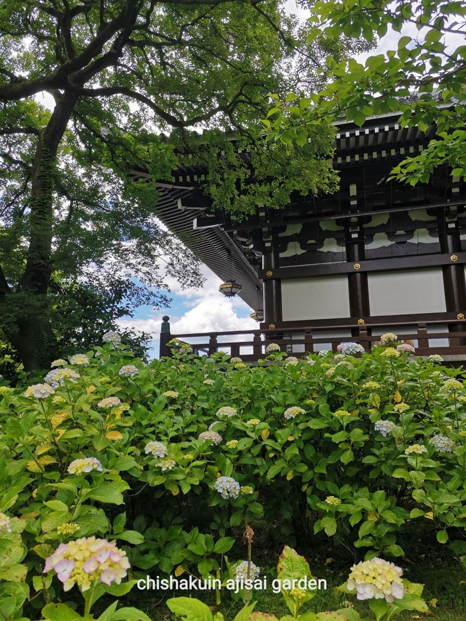 Walker House Kyoto 65 Square Meters Whole Villa Rent Exterior foto